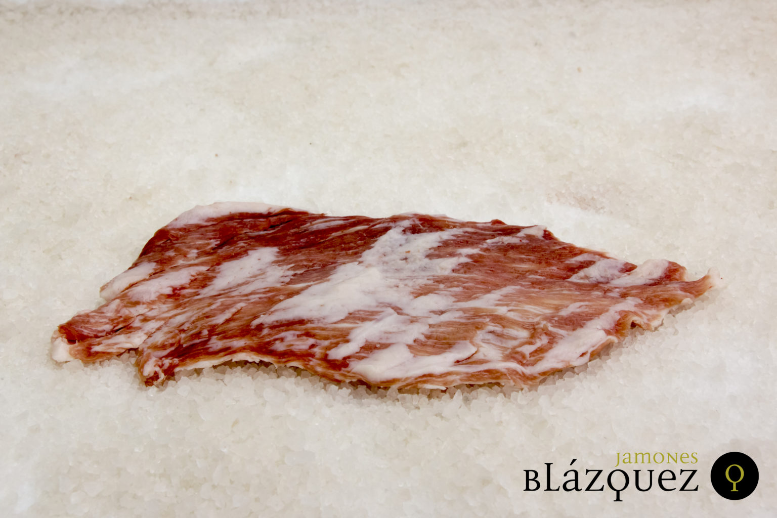 Cómo diferenciar entre Secreto, Presa y largarto ibérico.